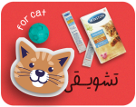 تشویقی گربه