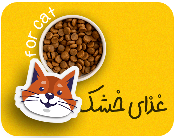 غذای خشک گربه