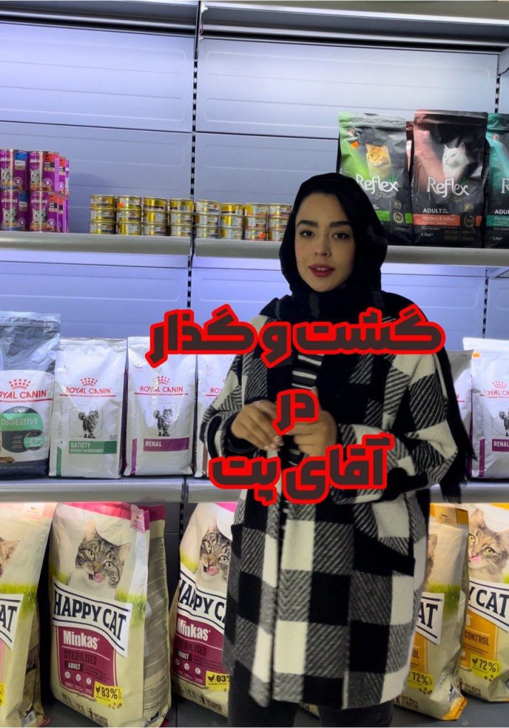 گشت و گذار در آقای پت