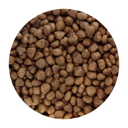 غذای گربه هپی کت