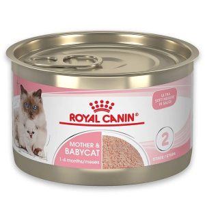 کنسرو گربه مادر اند بیبی رویال کنین