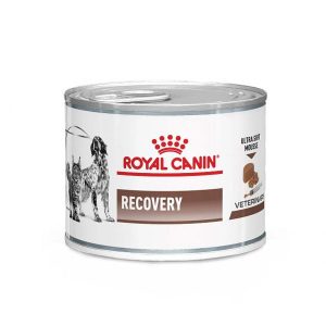 کنسرو سگ و گربه ریکاوری رویال کنین