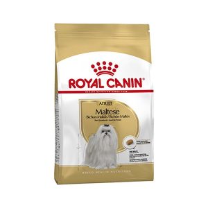 غذای سگ مالتیز ادالت رویال کنین