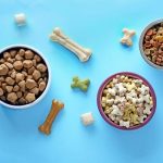 بهترین غذای تشویقی برای سگ