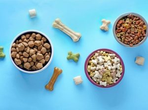 بهترین غذای تشویقی برای سگ