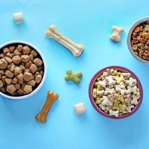 بهترین غذای تشویقی برای سگ