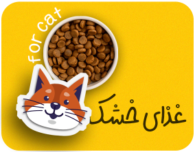 غذای خشک گربه