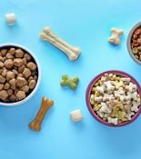 بهترین غذای تشویقی برای سگ