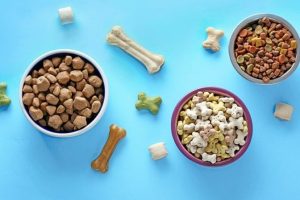 بهترین غذای تشویقی برای سگ